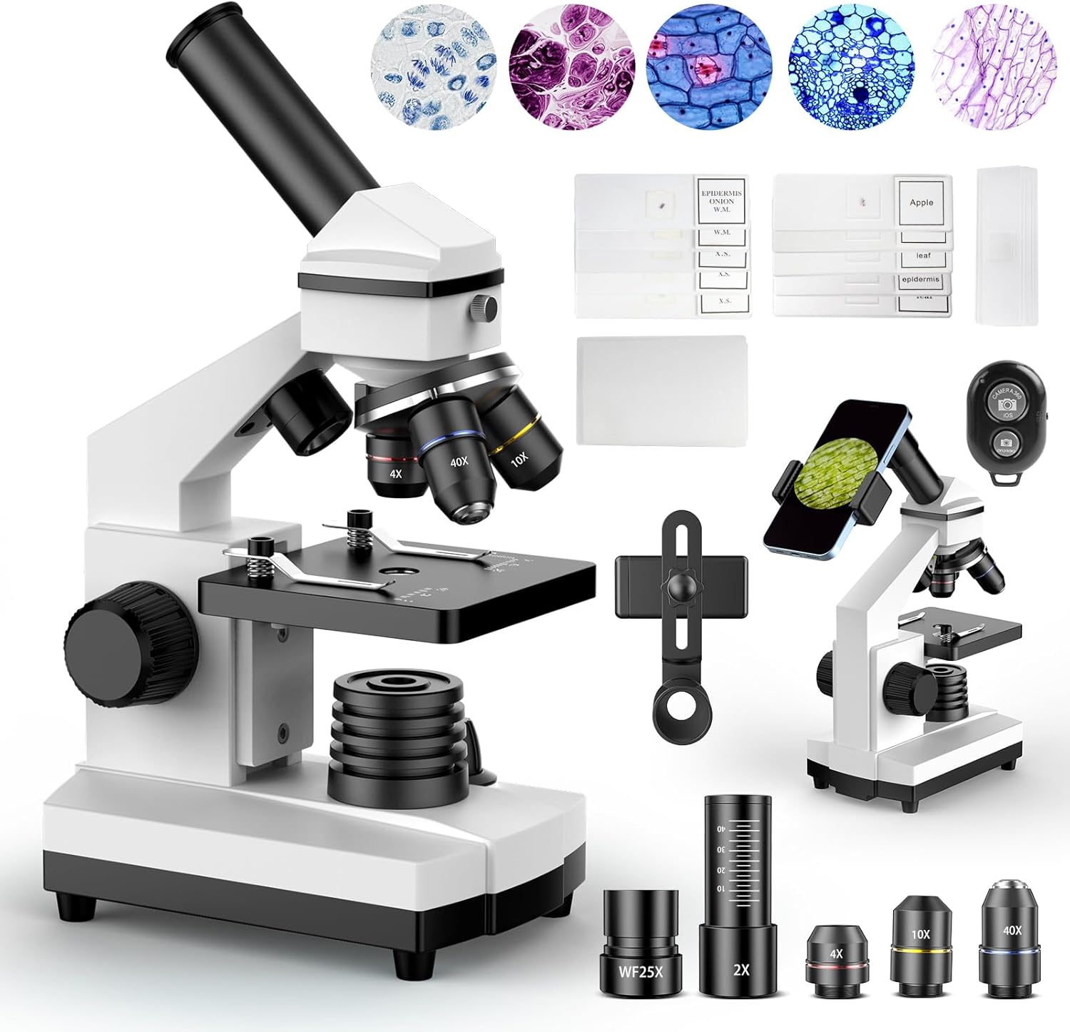 PalliPartners Compound Microscope for Adults & Students – 100X-2000X High-Power Biological Microscope for Students, School Lab & Home Education, with Slides Set & Phone Adapter (White)